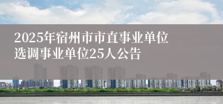 2025年宿州市市直事业单位选调事业单位25人公告